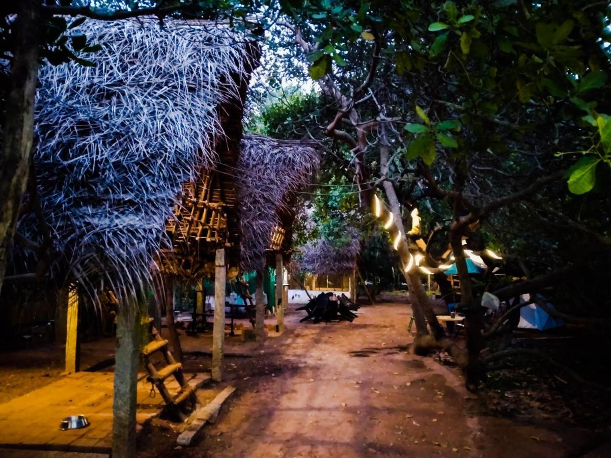 Peace Garden Vandrehjem Auroville Eksteriør billede