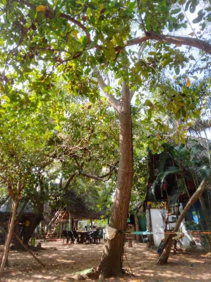 Peace Garden Vandrehjem Auroville Eksteriør billede